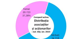 Business la feminin. Statisticile demonstrează clar implicarea substanțială a femeilor în conducerea și activitatea firmelor