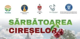 Sărbătoarea Cireșelor – prima ediție la Iași. Producătorii să vină cu marfa pe pietonal