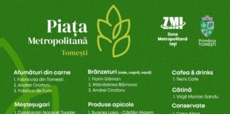 Concept unic la Piața Metropolitană de la Tomești