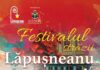A V-a ediție a Festivalului Străzii Lăpușneanu din Iași