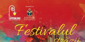 A V-a ediție a Festivalului Străzii Lăpușneanu din Iași