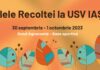 In curând la Iași – Zilele Recoltei, ediția a II-a – expoziție de produse cu vânzare
