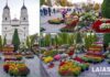IAȘI: Ediția de toamnă a FloralIS – Sărbătoarea Florilor