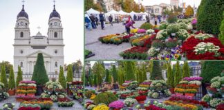 IAȘI: Ediția de toamnă a FloralIS – Sărbătoarea Florilor