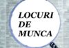 Mai sunt câteva zile de depunere a dosarelor pentru 11 posturi de paznic la un spital din Iași. Iată condițiile