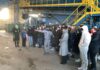 ADIS Iasi: Este nevoie de educație ecologică
