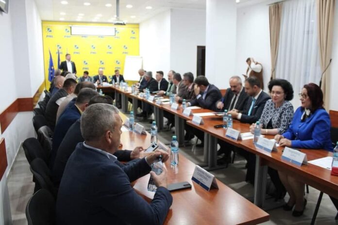 consiiei candidati