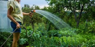 ApaVital spune că din cauza udatului grădinilor, apa potabilă se va da cu program. Iată lista comunelor din zona Pașcani și Hârlău