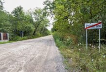 Gică de Prisăcani și visul de a deveni latifundiar peste tot satul