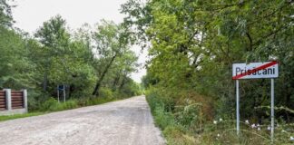 Gică de Prisăcani și visul de a deveni latifundiar peste tot satul
