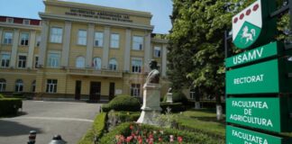 USV Iași, prima universitate care va începe anul universitar 2024-2025
