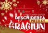 Piața de Crăciun la Ateneul Național din Iași – O Magie a Sărbătorilor