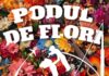 Festivalul „Podul de Flori” – 26 aprilie 2025, Piața Independenței din orașul Ungheni