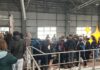 ADIS Iași: Lecții interactive de protejare a mediului cu peste 200 de elevi