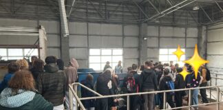 ADIS Iași: Lecții interactive de protejare a mediului cu peste 200 de elevi
