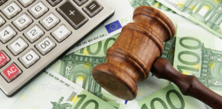 Operațiunea „Cuibul cu Fantome” . Peste 1500 de societăți cu domiciliul fiscal la aceeași adresă