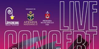 Festivalul Străzii Lăpușneanu, ediția VII – o sărbătoare pentru întreaga comunitate