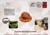 Expoziția „Restaurarea ilustrată”, itinerată la Palatul Culturii din Iași