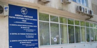 AJOFM Iasi: Locuri de muncă vacante în județul Iași și prin intermediul rețelei EURES