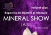 „Mineral Show” revine la Palatul Culturii