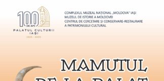MAMUTUL DE LA PALAT. Singurul craniu de Mammuthus trogontherii din România