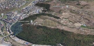 Mâine se va semna acordul de parteneriat pentru înființarea pădurii – parc din zona Mănăstirii Cetățuia