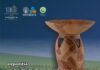 Descoperiri arheologice de excepție la Dobrovăț, rezultate ale unui amplu proiect internațional româno-chinez