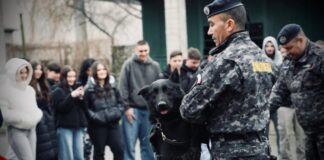 Lecția nonviolenței, predată de jandarmi… și de colegii lor patrupezi