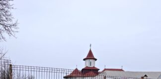 EXCLUSIV: Lemnele de la grădiniță au mai adus un dosar penal la Dobrovăț. Corabia se scufundă, pădurarii dau bir cu fugiții