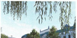 Fonduri europene pentru transformarea zonei centrale a Iașului și amenajarea spațiului verde din jurul Teatrului Național