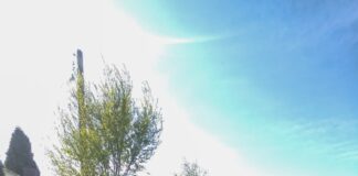 Campania „Iași Mai Verde” în organizarea Consiliului Județean și ADIS Iași