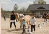 Cum conduci fără să dai ordine? Un program de învățare cu caii, lansat la Iași