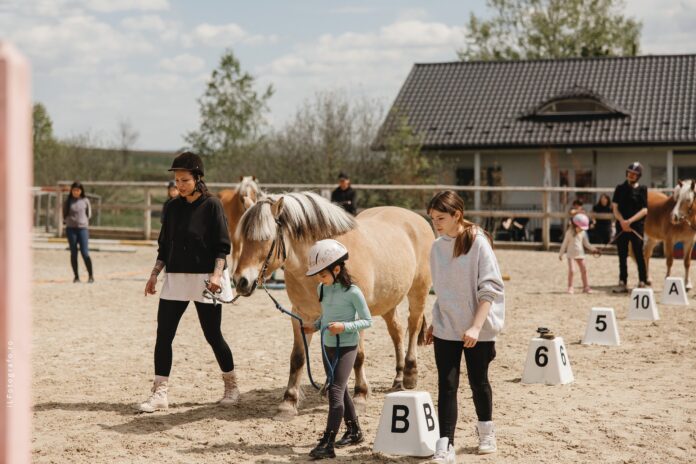 Oameni și Cai - Clubul Equester 13