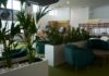 Aeroportul Iasi a inaugurat serviciile Business Lounge