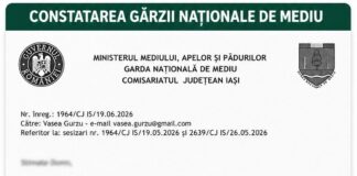 Ocolul Silvic Dobrovăț a fost sancționat cu o sumă enormă după ce au fost tăiați ilegal arbori de biodiversitate marcați pentru conservare